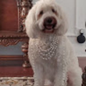 Meet your Posher, Stacey